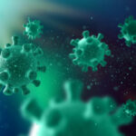 DE GESCHIEDENIS VAN HET CORONAVIRUS